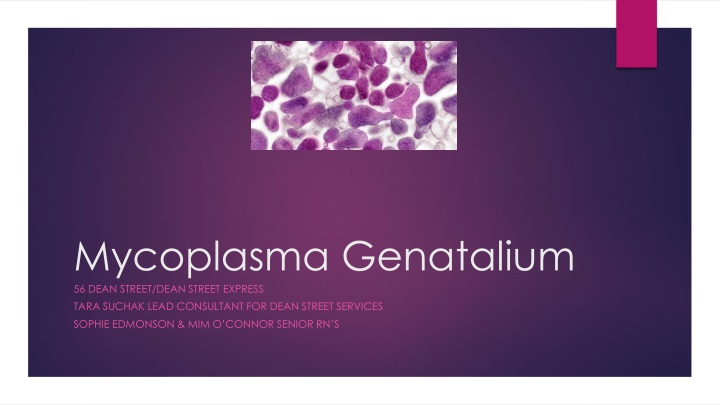 mycoplasma genatalium 56 dean street dean street