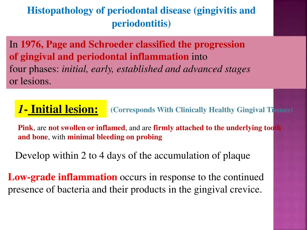 histopathology of periodontal disease gingivitis