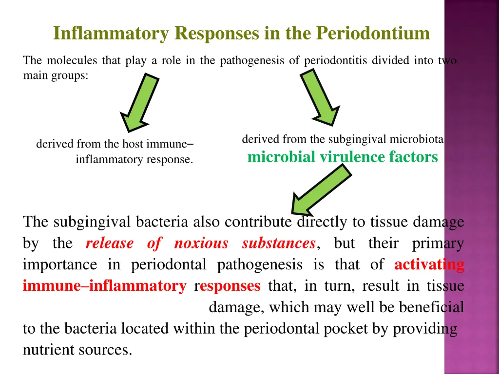 inflammatory responses in the periodontium