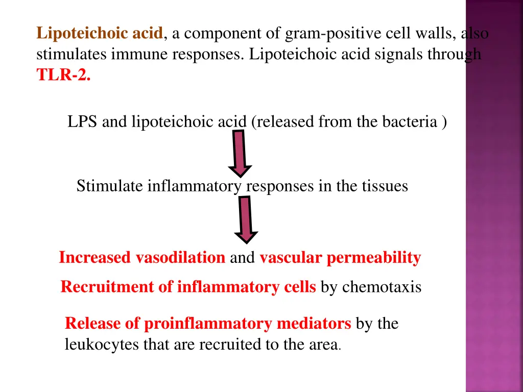 lipoteichoic acid a component of gram positive