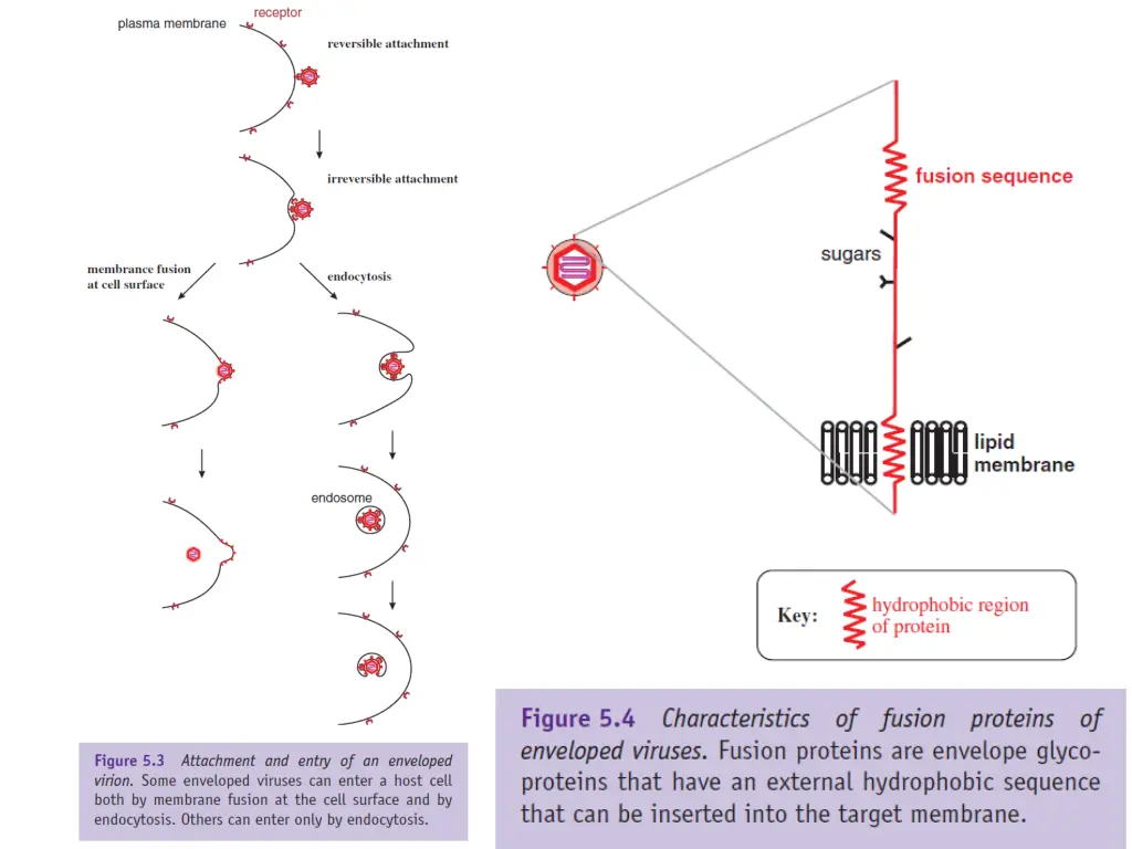 slide10