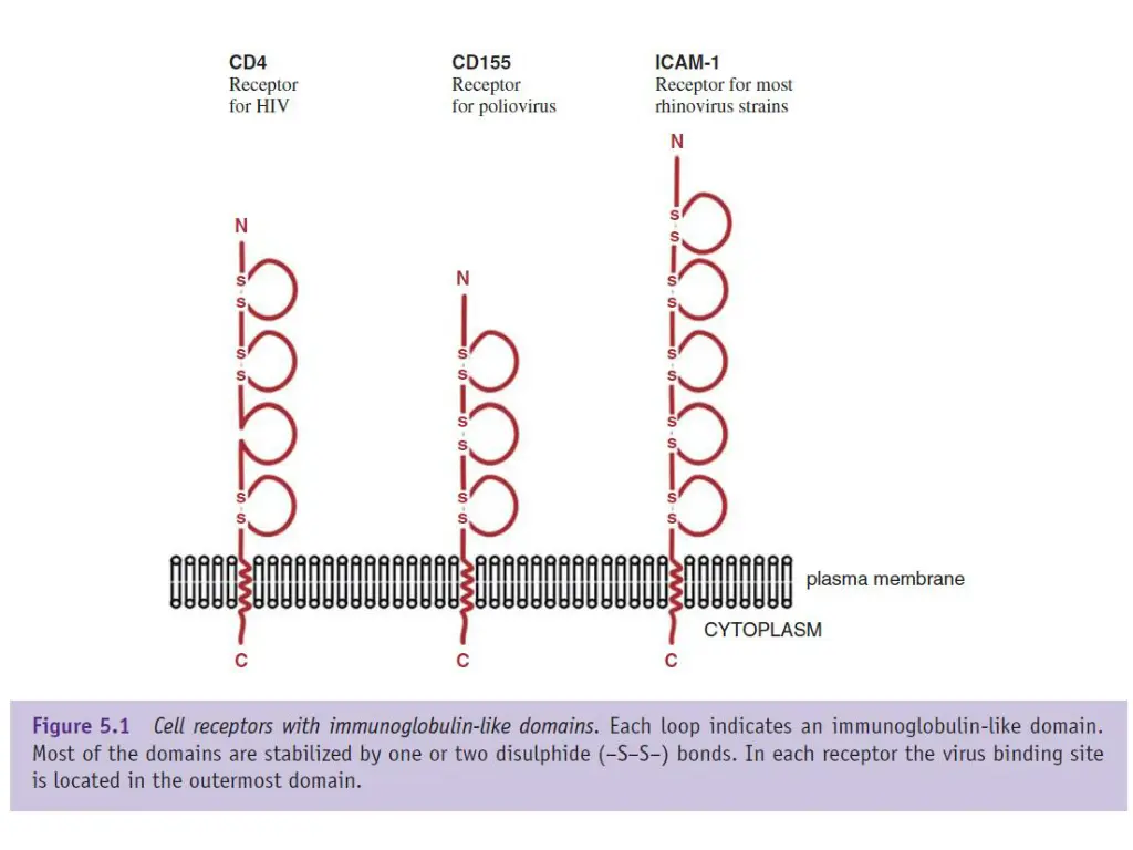 slide5