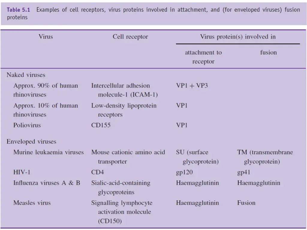 slide6