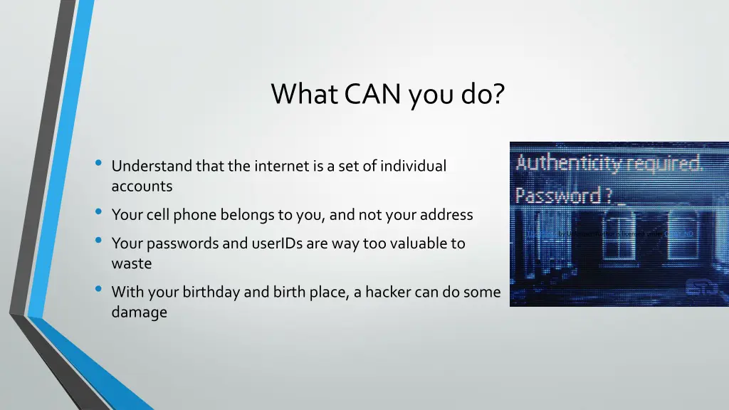 what can you do