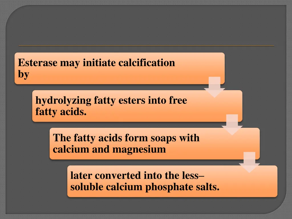 esterase may initiate calcification by