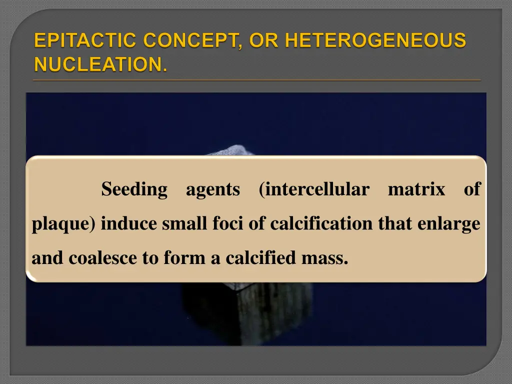 seeding agents intercellular matrix of