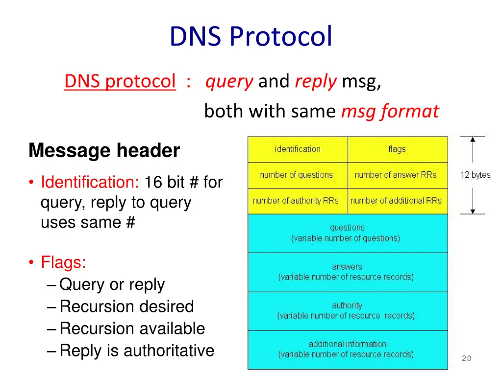 dns protocol