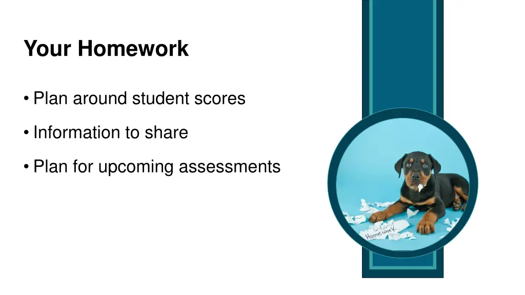 your homework
