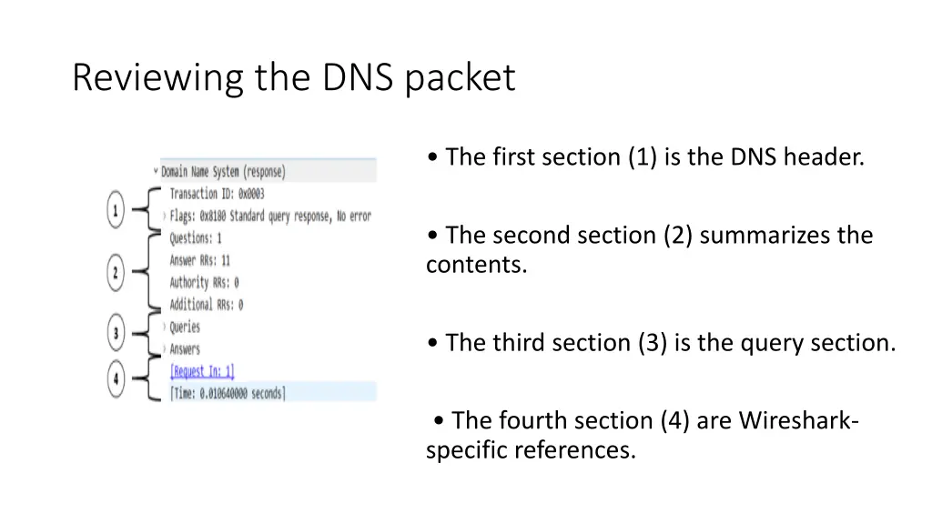 reviewing the dns packet