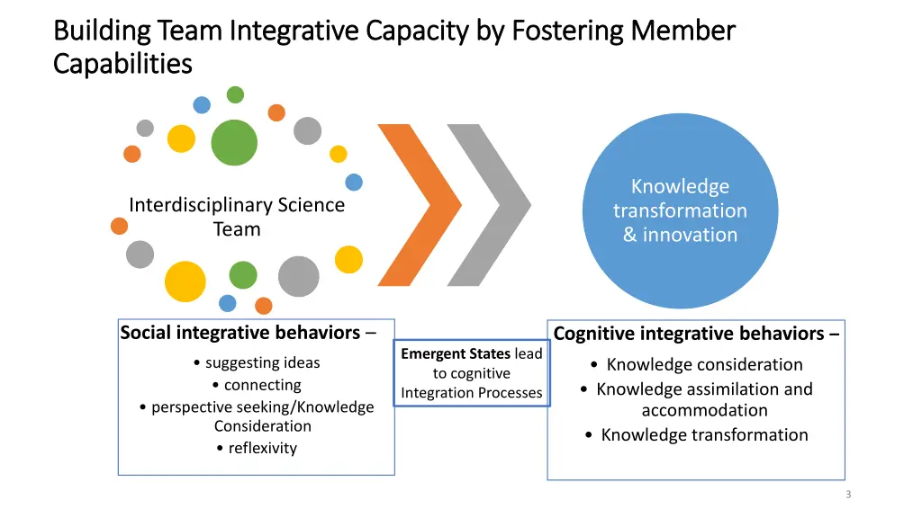 building team integrative capacity by fostering