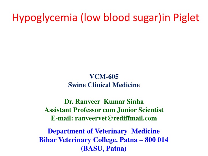 hypoglycemia low blood sugar in piglet