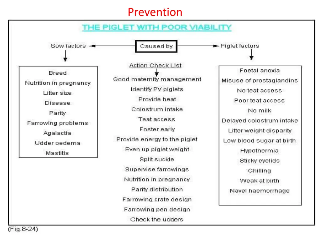 prevention