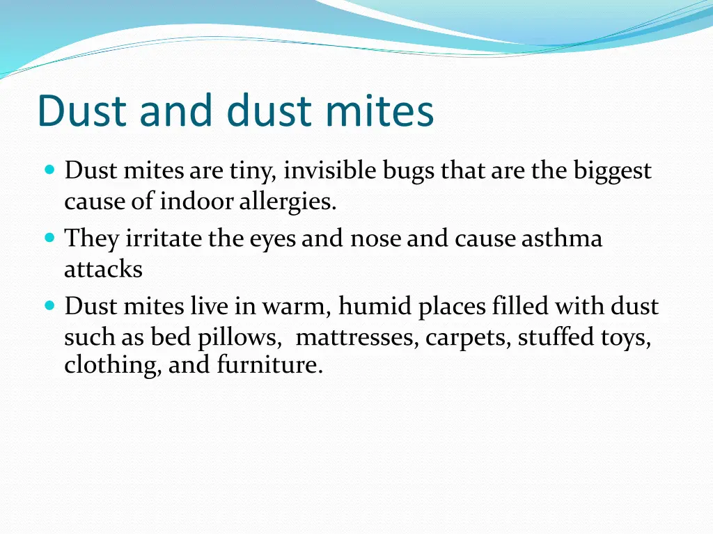 dust and dust mites