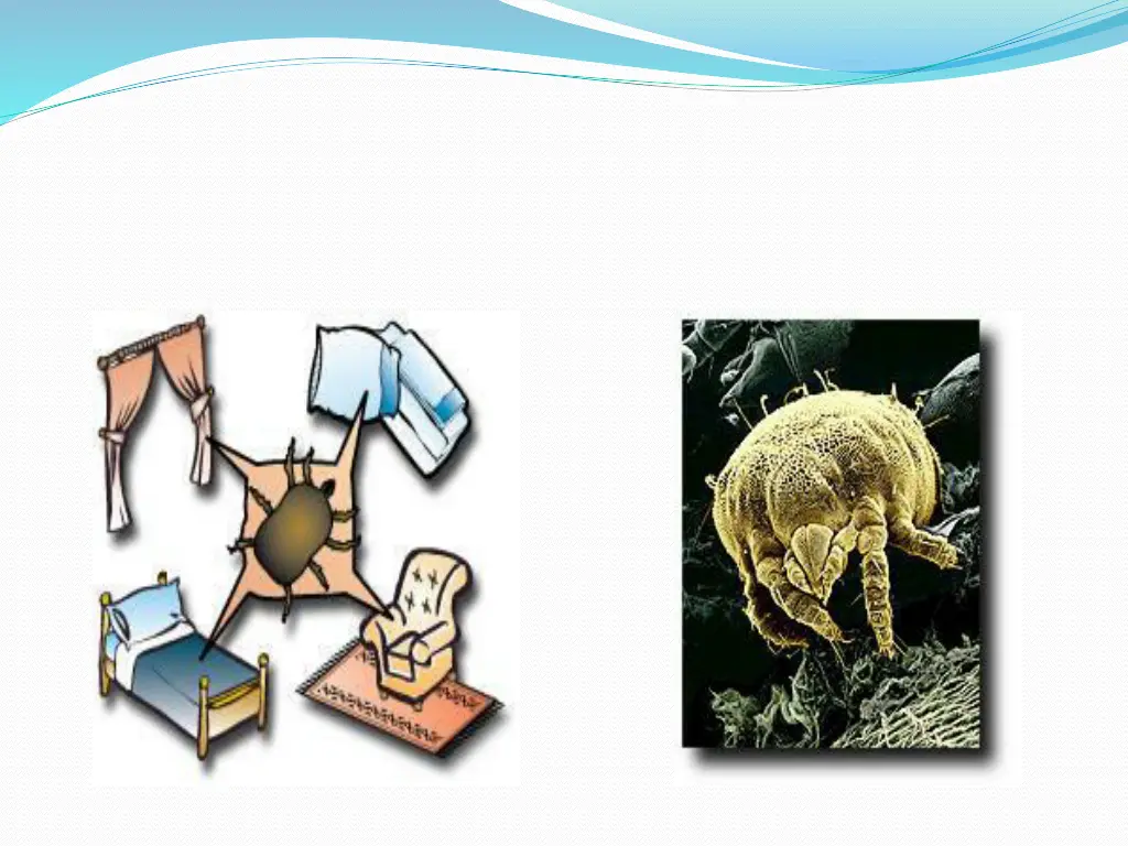 slide15