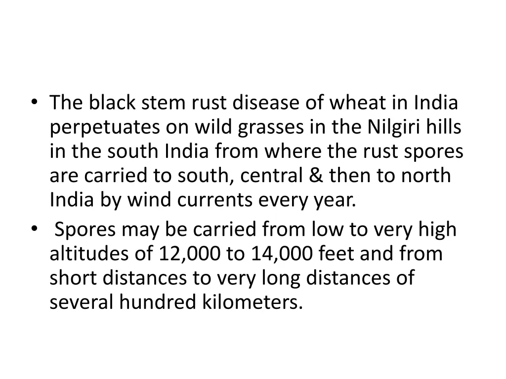 the black stem rust disease of wheat in india