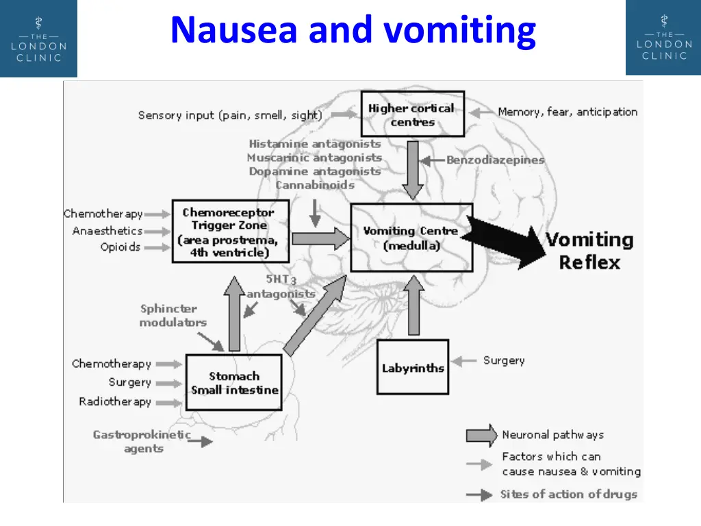 nausea and vomiting