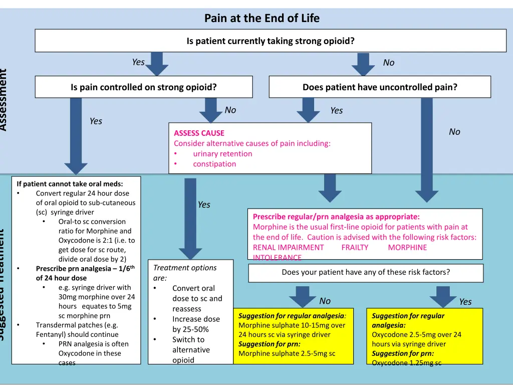 pain at the end of life
