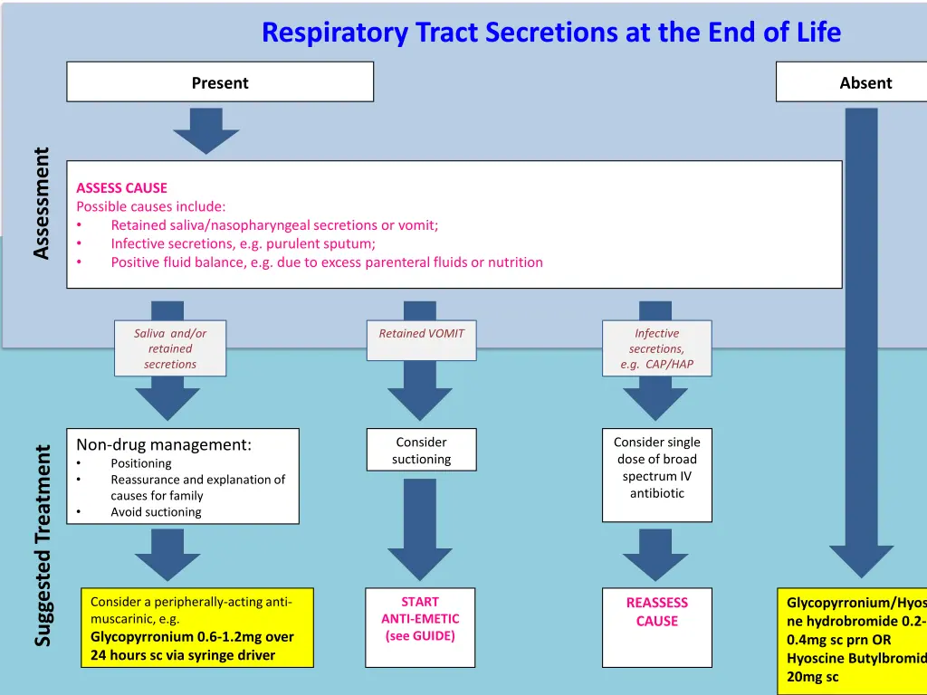 respiratory tract secretions at the end of life