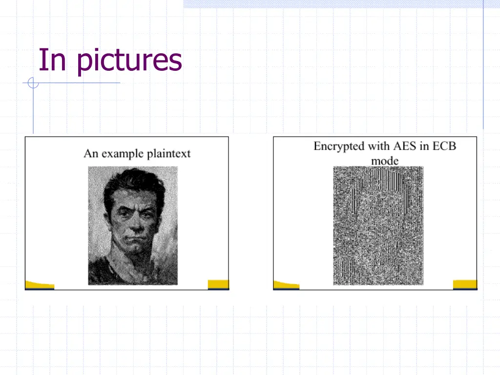 in pictures