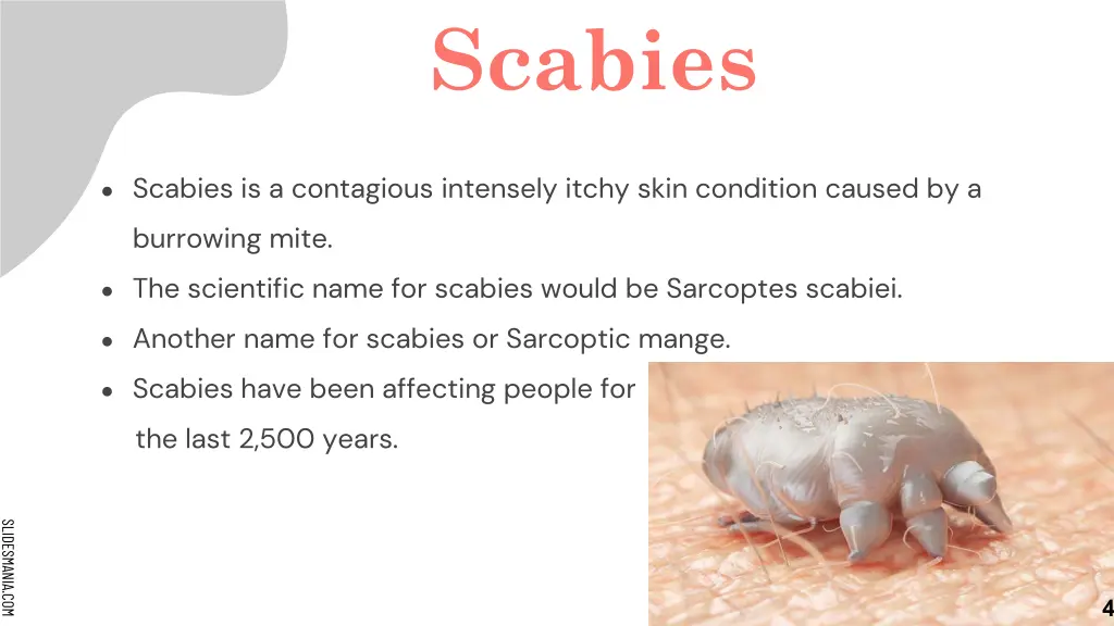 scabies