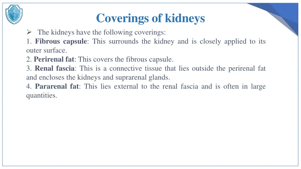coverings of kidneys
