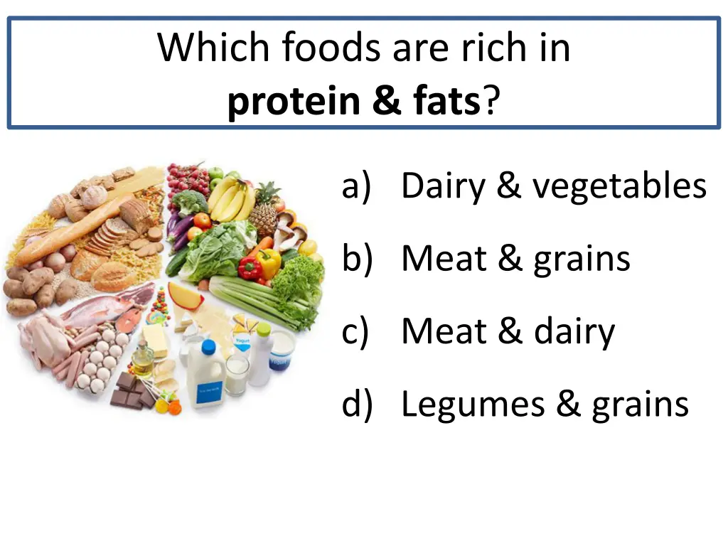 which foods are rich in protein fats