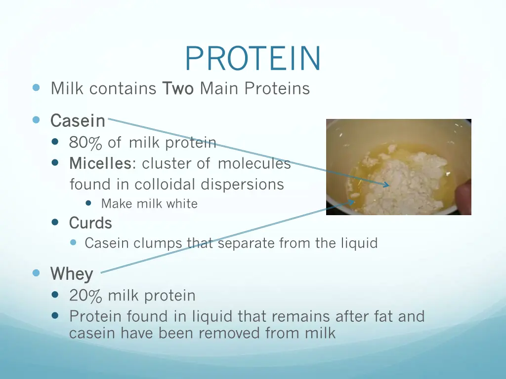 protein two main proteins