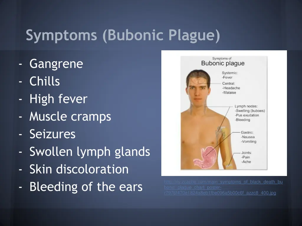 symptoms bubonic plague