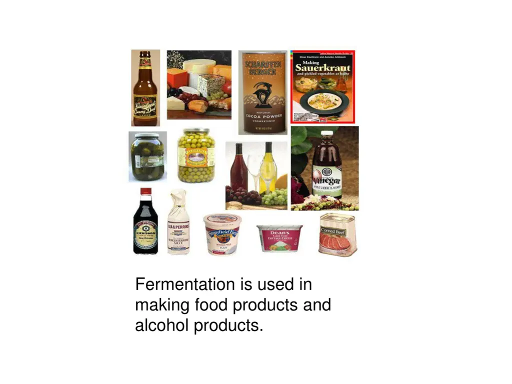 fermentation is used in making food products