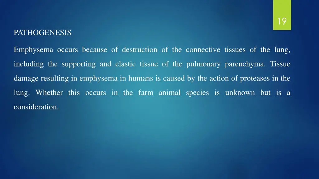 slide19