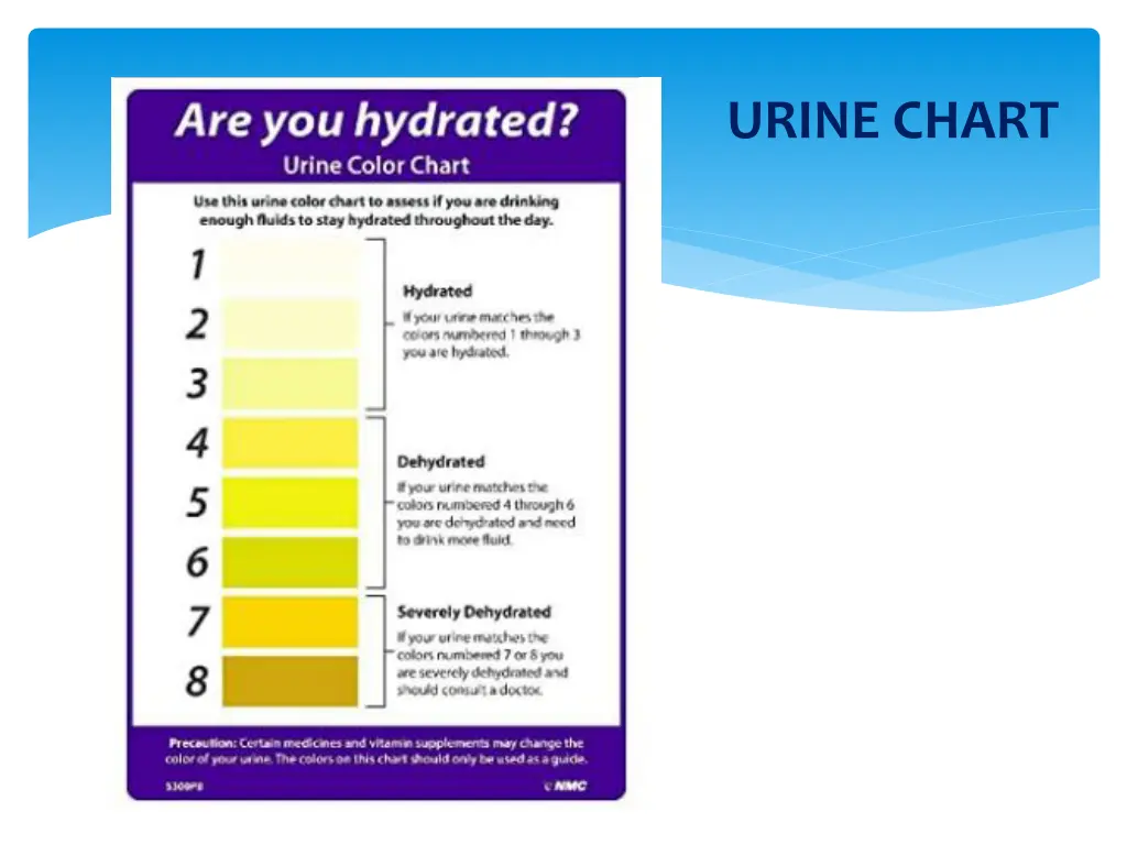 urine chart