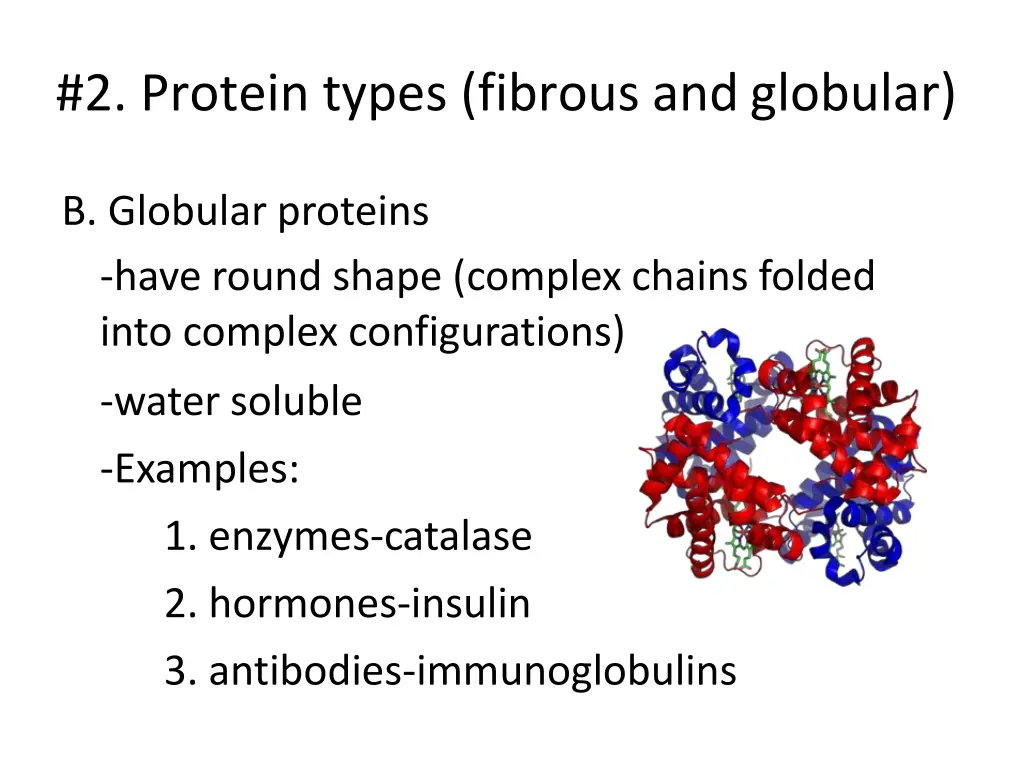 2 protein types fibrous andglobular 1