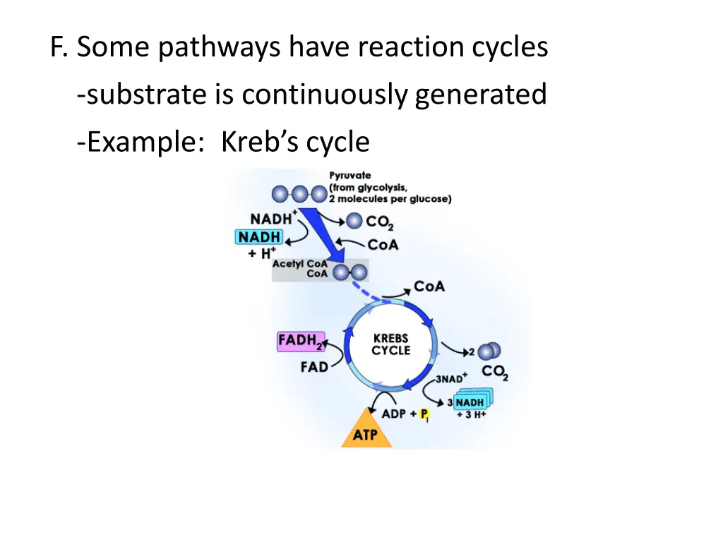 f some pathways have reactioncycles substrate