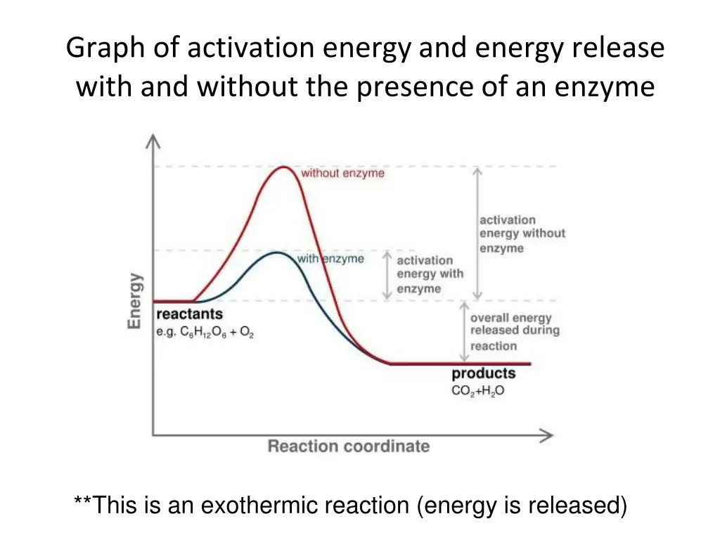 graph of activation energy and energy release