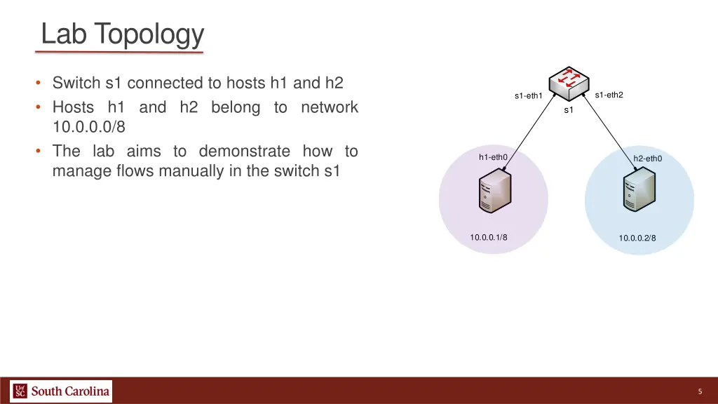 lab topology