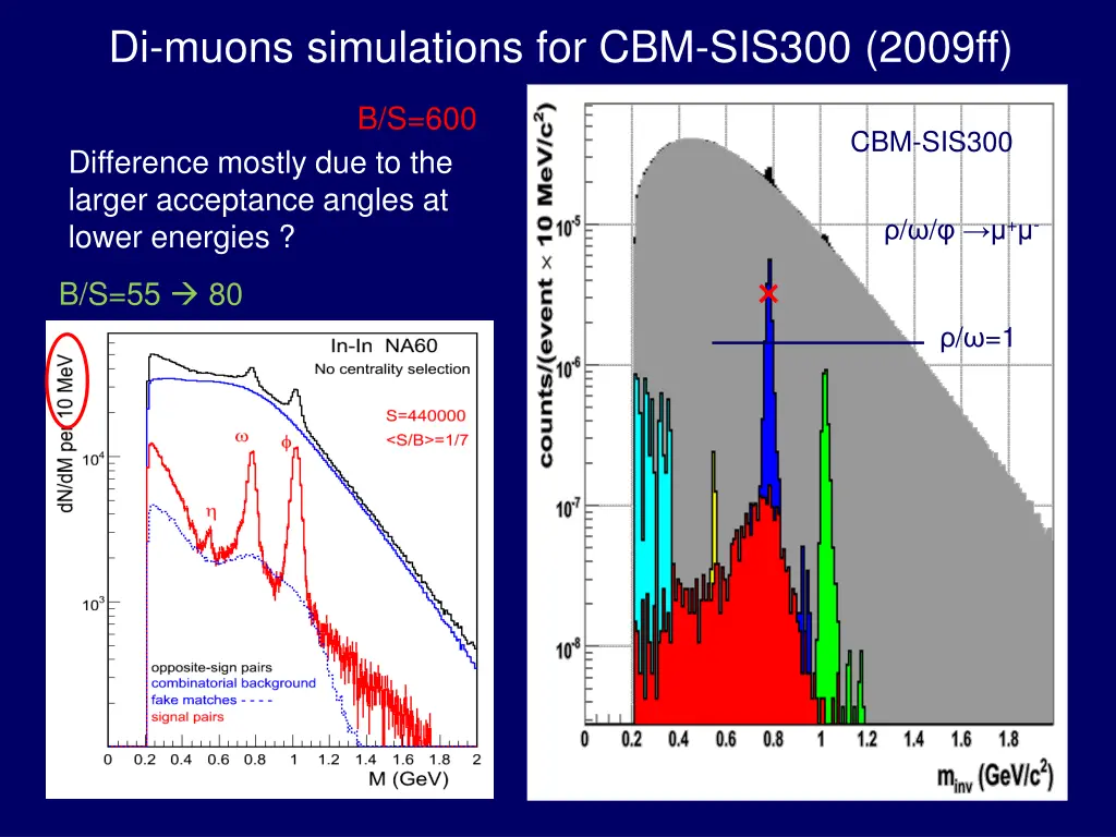 di muons simulations for cbm sis300 2009ff