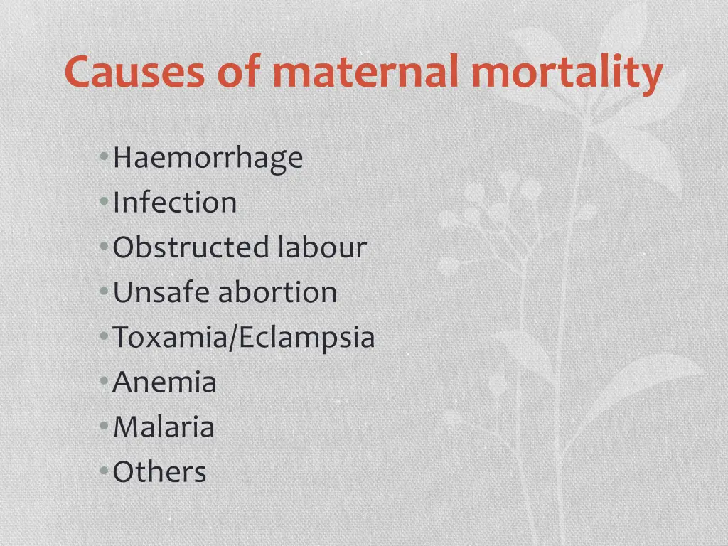causes of maternal mortality