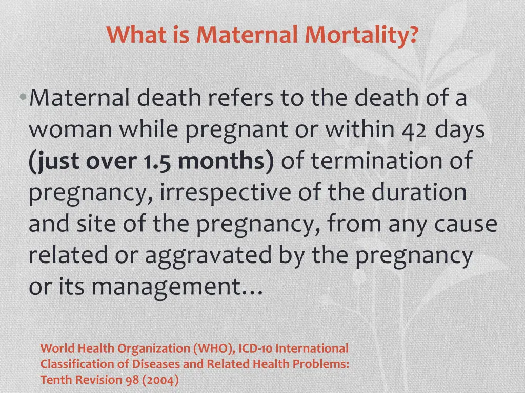 what is maternal mortality