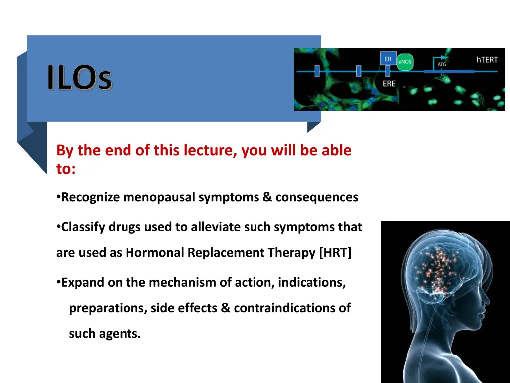 by the end of this lecture you will be able to