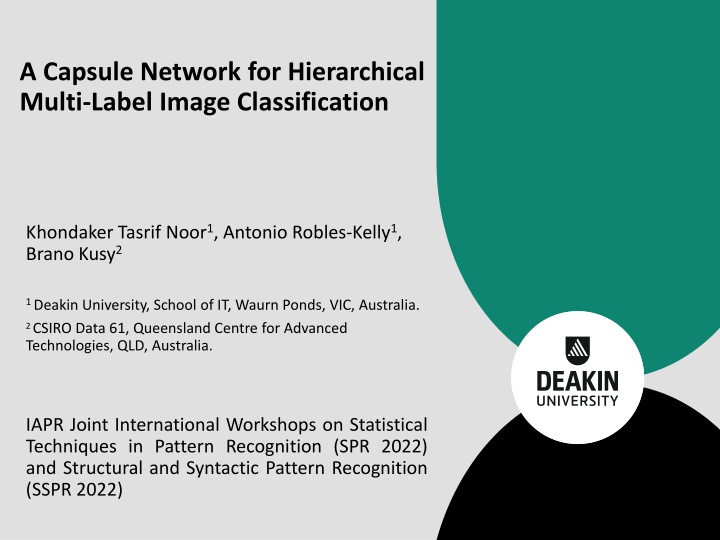 a capsule network for hierarchical multi label