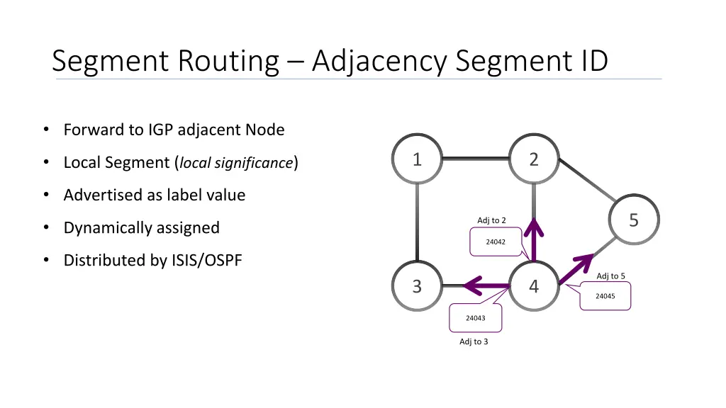 segment routing adjacency segment id