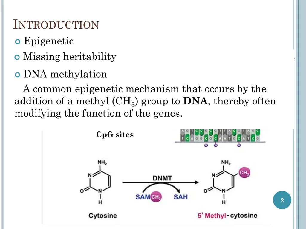 i ntroduction epigenetic heritable events