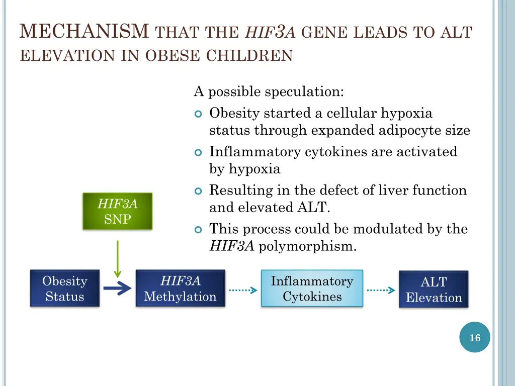 mechanism that the hif 3 a gene leads 1