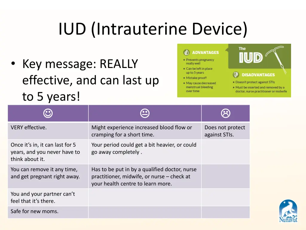 iud intrauterine device