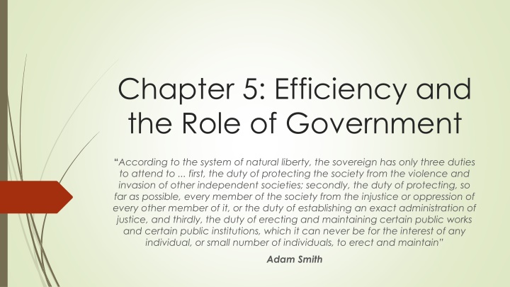 chapter 5 efficiency and the role of government