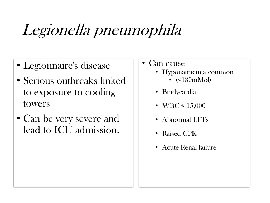 legionella pneumophila
