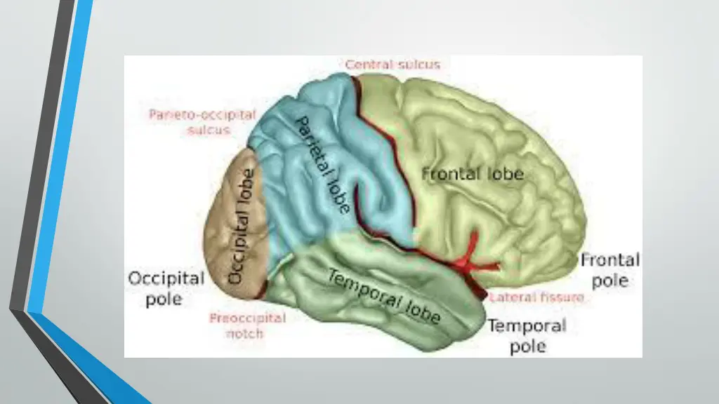 slide9