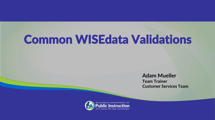 common wisedata validations common wisedata