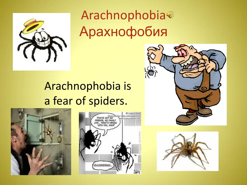 arachnophobia