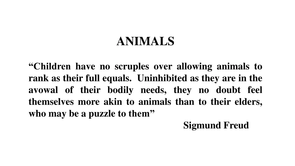 animals 1